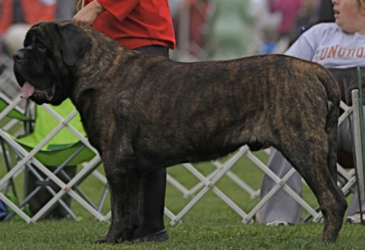 Bentley