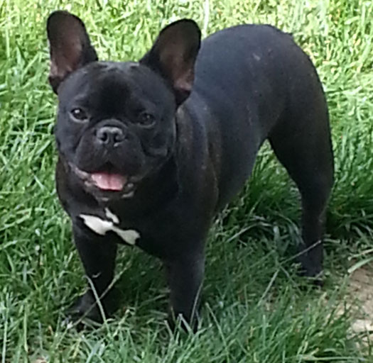 Betty