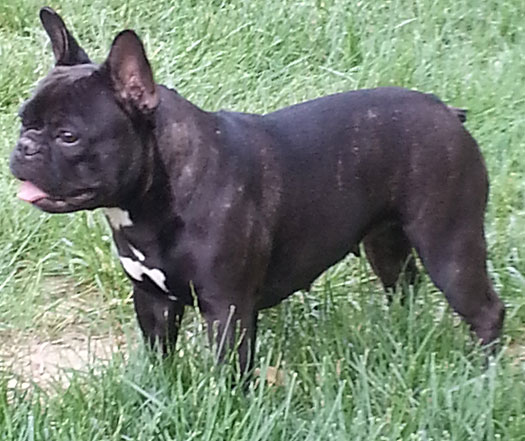 Betty