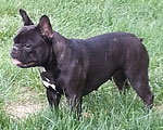 Betty