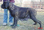 Roxie