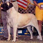 wilma